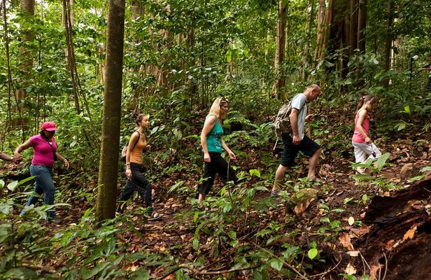 St Lucia Jacquot Trail Hike at Rainforest Adventures