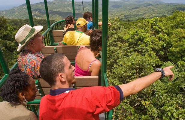 St. Lucia Aerial Tram Tour at Rainforest Adventures