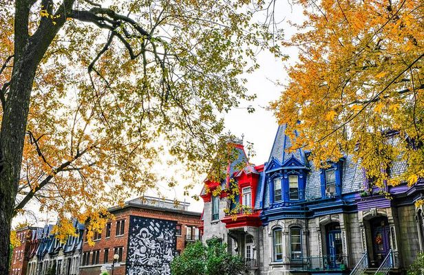 Montreal's Plateau Mont-Royal and Mile End Tour by MTL Detours