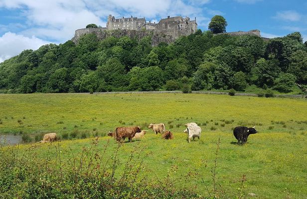 Stirling Castle, Trossachs, Loch Lomond and Whisky Tour