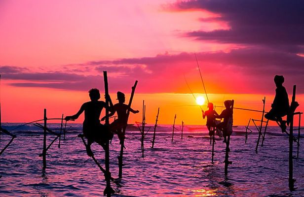 From Colombo/ Negambo - Southern SriLanka Day Trip