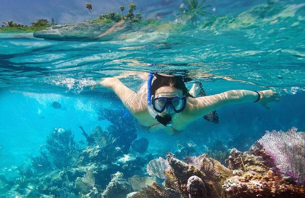 Snorkeling in Unawatuna