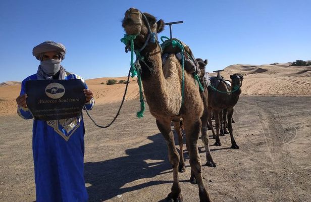 Ouarzazate - Desert - Fes 5 days 4 nights