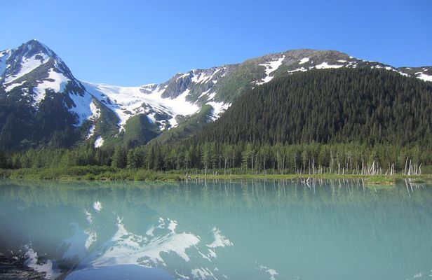 Stunning Turnagain Arm Tour: "A Must See Destination"