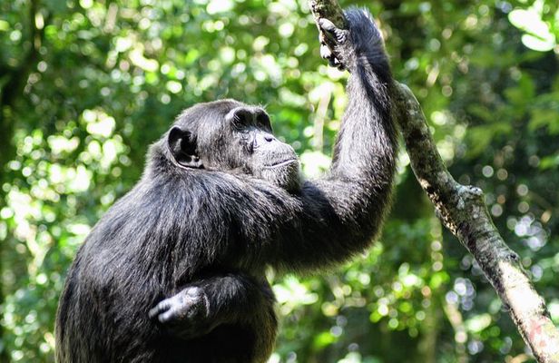 Small group Adventure Holiday- 7 Days
