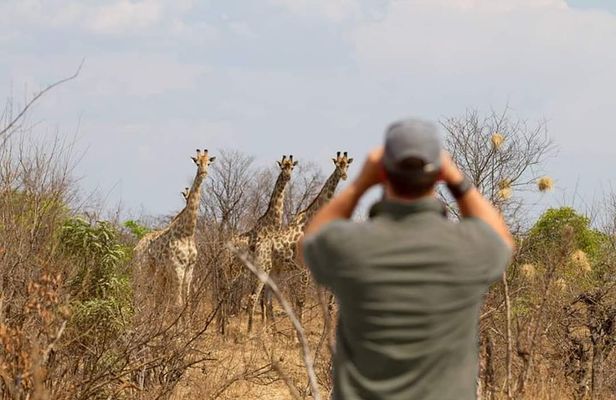 Private Game Drive and Chobe River Cruise