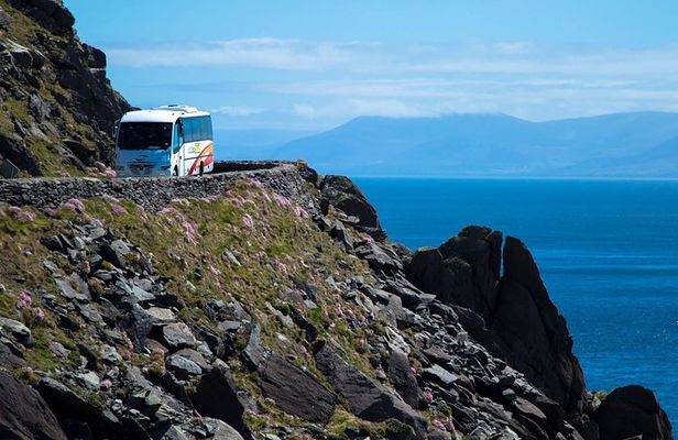 Killarney Super Saver: Dingle and Slea Head Day Trip plus Ring of Kerry and Killarney Lakes Day Trip