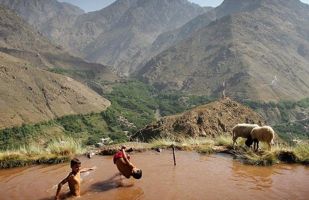 Atlas mountains and Berber villages including Lunch and Camel Ride