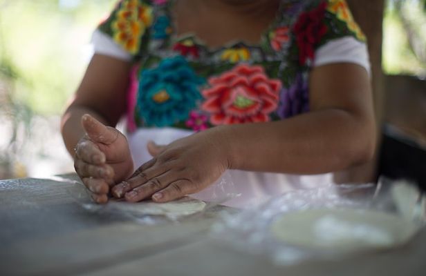 Private tour: Tulum Ruins & Jungle Adventure with Cenote