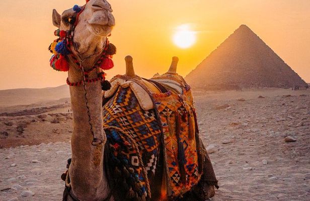 Cairo tour/ Day tour to Giza Pyramids,Egyptian Museum,Islamic or Coptic Cairo