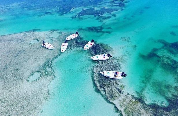 Key West Safari Eco Sandbar Tour Adventure with Snorkeling
