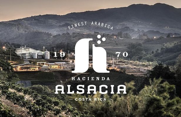Hacienda Alsacia Starbucks Coffe Tour