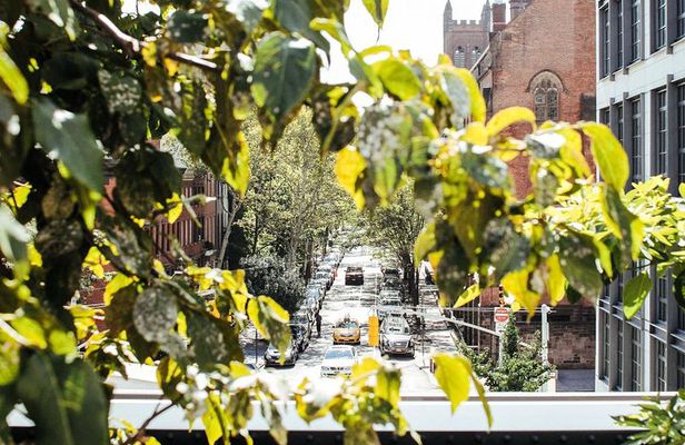 High Line and Chelsea Small Group Tour