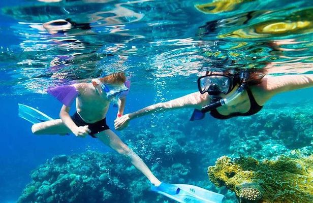 SkyReef Cozumel Snorkel & Tequila Tasting