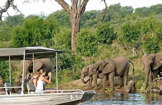 Chobe Full Day Trip