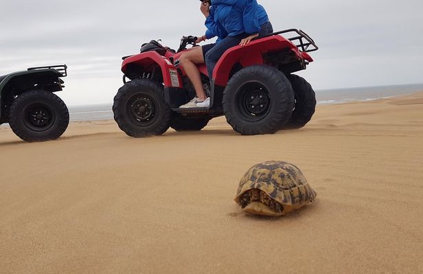 Essaouira: Pleasant Quad tour (free transfer)