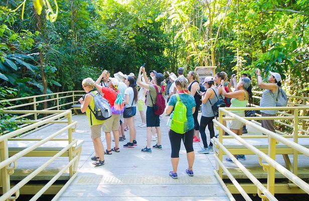 Manuel Antonio Park Tour