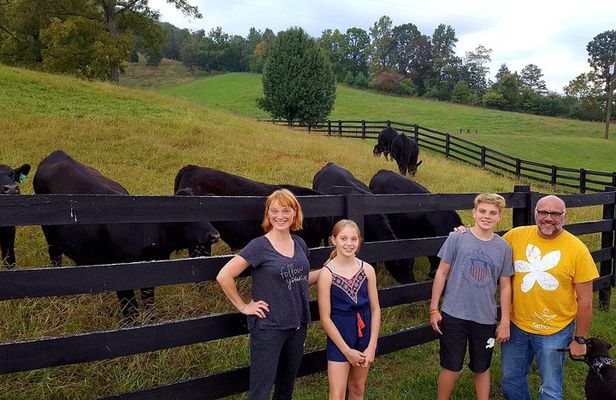 Private Walking Tour of a Real Working Cattle Ranch