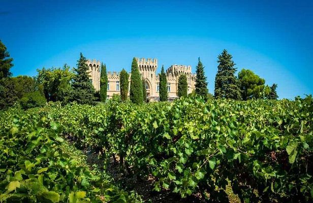 Chateauneuf du Pape wine tour