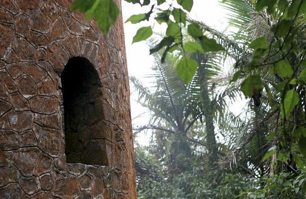 Discover El Yunque National Park: Half-Day Rainforest Tour