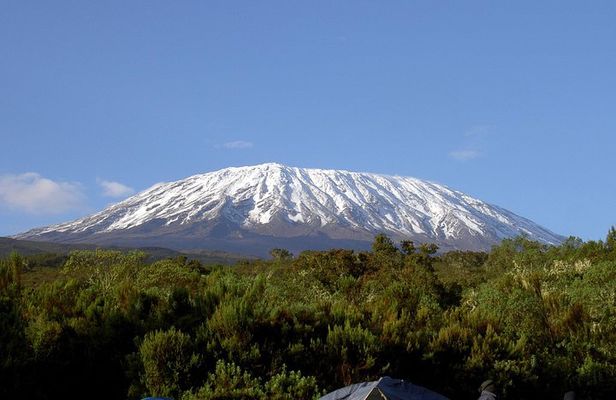 13 Days Adventure in Tanzania - Trekking and Wildlife Safari