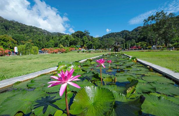 Penang Hill(FastLane),Ferringhi Beach,Botanic Garden & Kek Lok Si