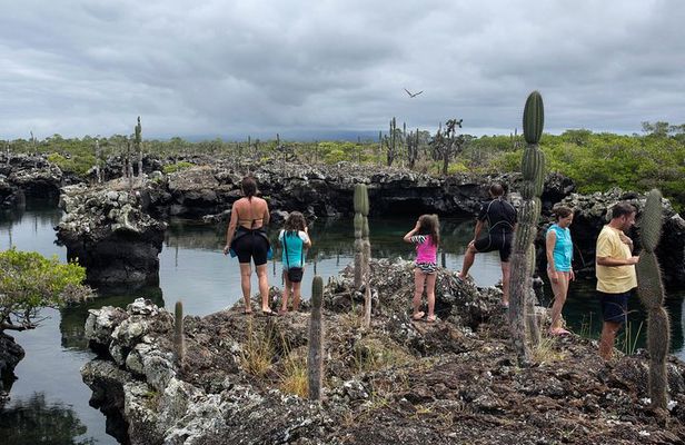 5-Day Guided Galapagos & Los Tuneles Tour