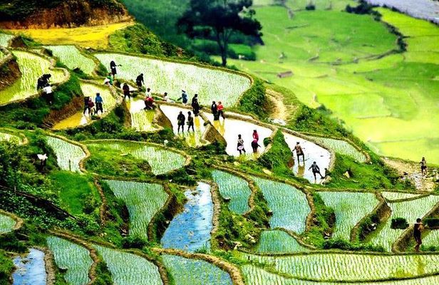 Sapa 2D1N All Included (Bus & Homestay)
