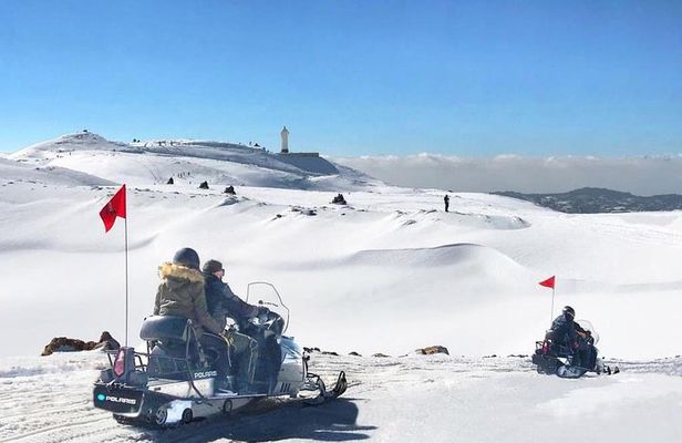 Snowmobile Half Day Tour & Scenic Adventure