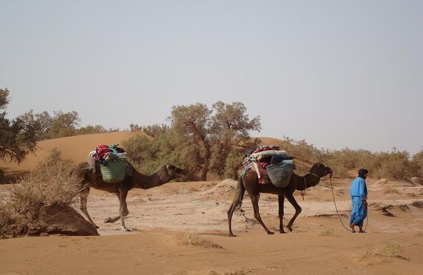 4 Days Trekking To The Heart Of Desert