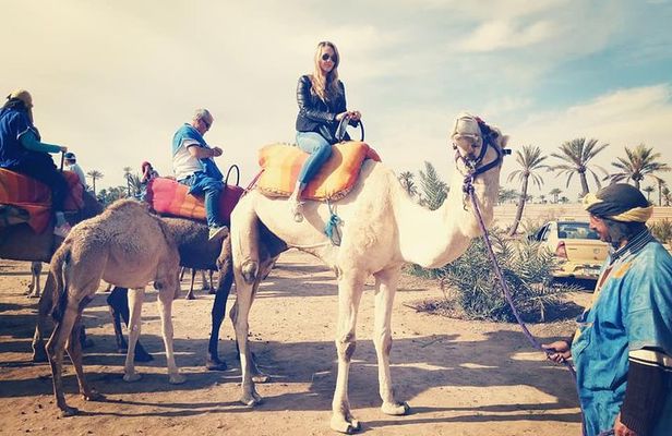 Camel Ride Experience Around Marrakech
