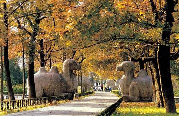 Nanjing Ancient Impression Private Day Tour with Lunch
