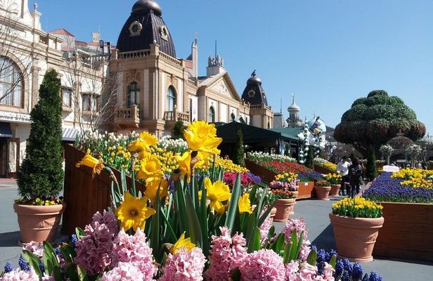 EVERLAND "From Hotel to Hotel" [Premium Private Tour: Only One Group for You]