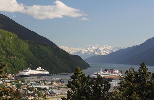 City and Mountain Summit Shore Excursion in Skagway