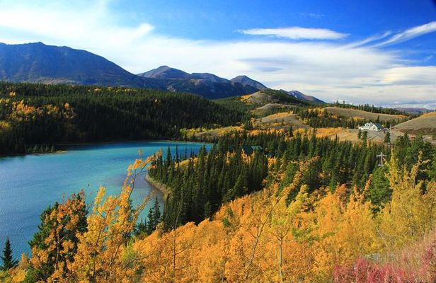 Skagway Shore Excursion: Yukon Discovery Tour