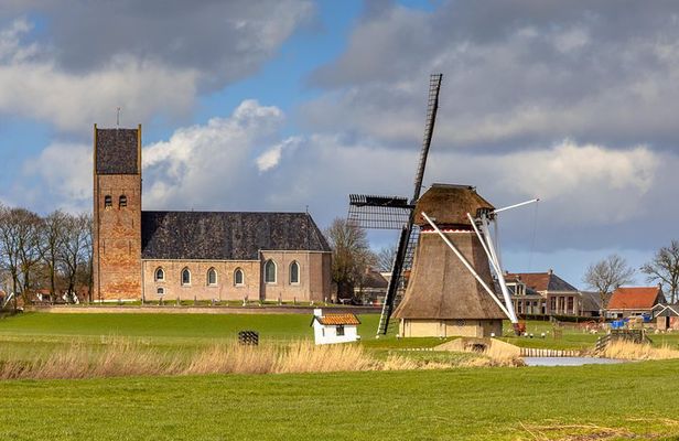 Frisian Culture and Heritage Tulip Fields Tours