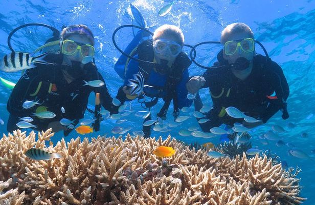 Quicksilver Great Barrier Reef Snorkel Cruise from Port Douglas