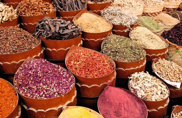 VIP City Tour and Sea Food With Guide And Transfer – Hurghada