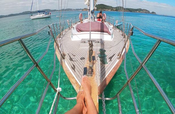 Full-Day Bay of Islands Tour by Vigilant Yacht Charters