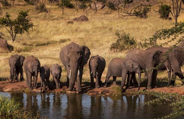 2-Days Safari Tarangire Park and Ngorongoro Crater