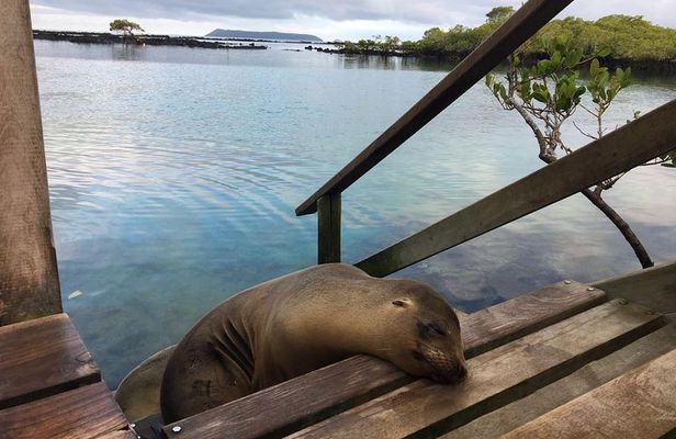 6-Day Galapagos Island Hopping: Kayaking, Mountain Biking and Volcano Hike