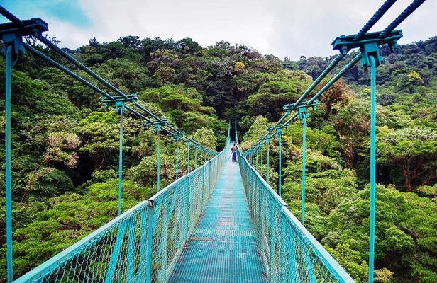 Monteverde Hanging Bridges Day Trip from San Jose