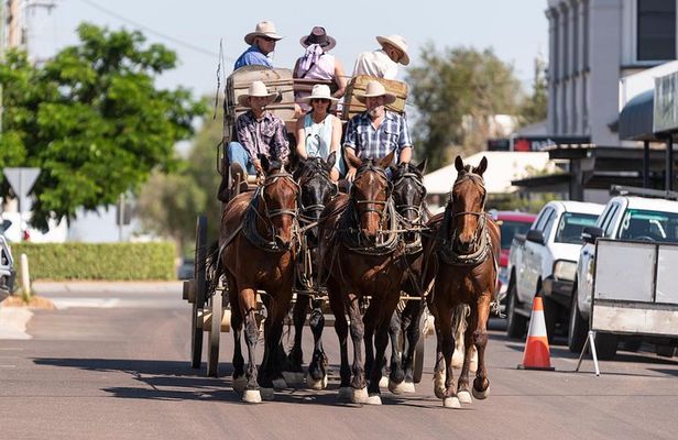Cobb and Co Stagecoach Experience