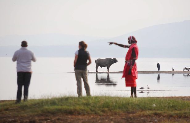 2-Day Flamingo & Rhino Safari at Lake Nakuru