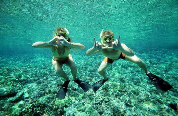 Molokini Crater Snorkel, Sailing Adventure with Breakfast & Lunch