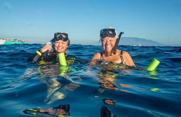 Molokini & Turtle Adventure: Small Group from Ma'alaea Harbor