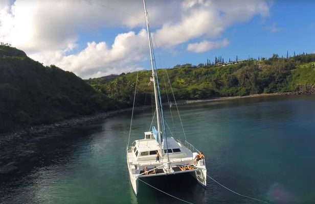 Honolua Bay Snorkel Sail from Lahaina