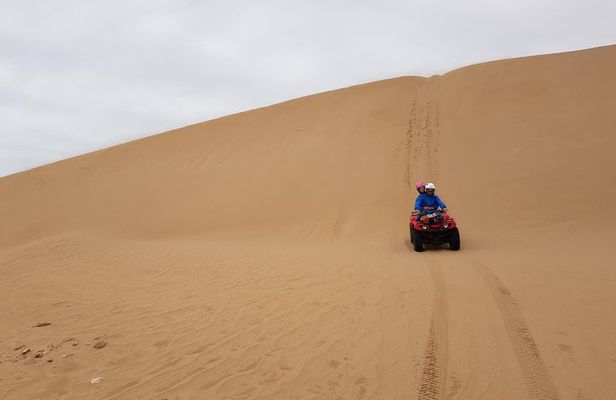 Quad day with south Essaouira meal 6h(free transfer)