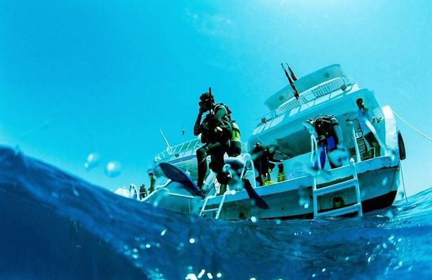 Scuba Diving Boat Trip 2 Stops Diving for bigenners and Lunch – Marsa Alam