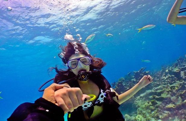 Hurghada: 6-Hour Dive Trip with Two Dive Sites